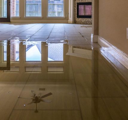 Drying Out Disaster: Trusted Water Damage Restoration Services